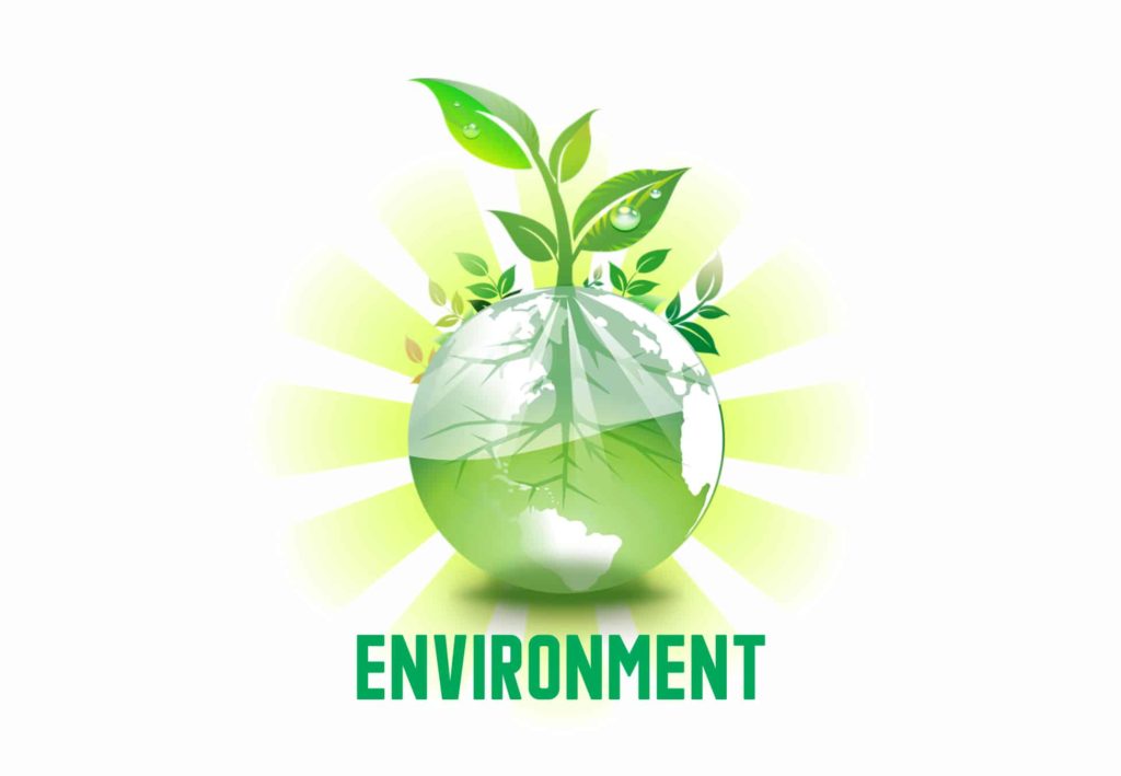 environmental balance essay