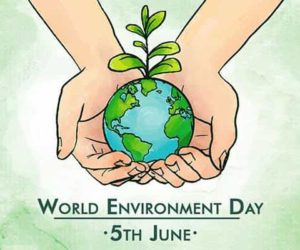 WORLD ENVIRONMENT DAY Essay