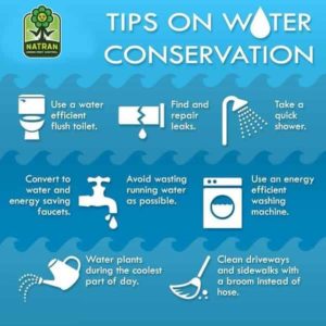 simple essay on conservation of water