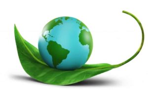 essay writing on world environment day