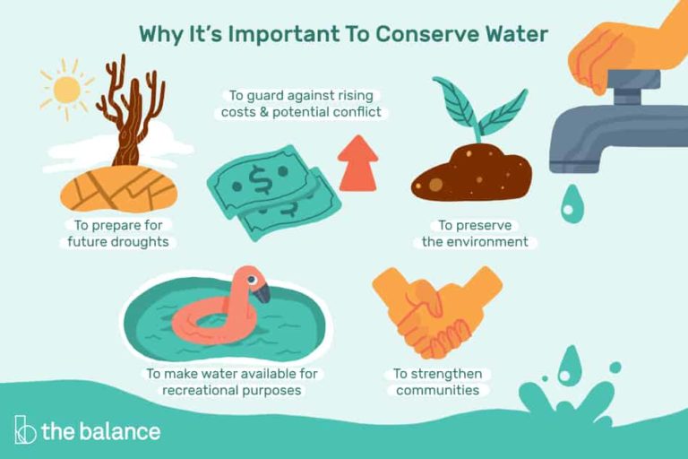 Why We Should Conserve Water Essay