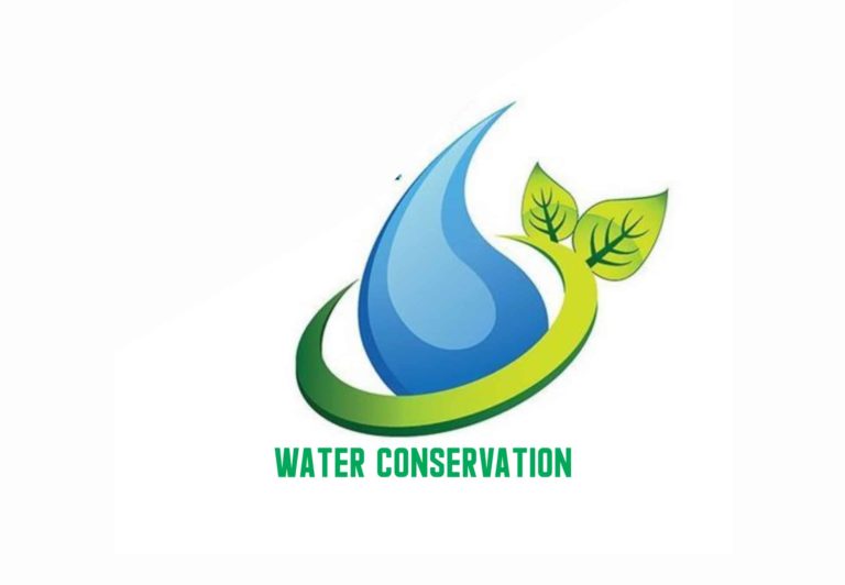 Water Conservation Essay