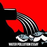 Water Pollution Essay