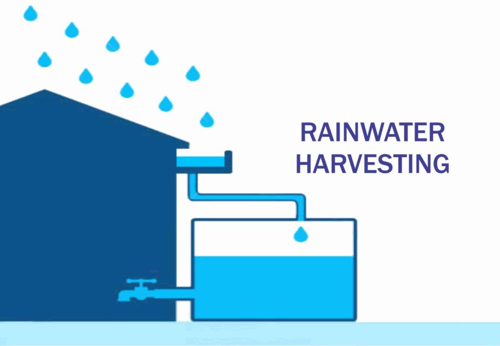 rainwater harvesting essay