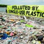 Plastic pollution Essay