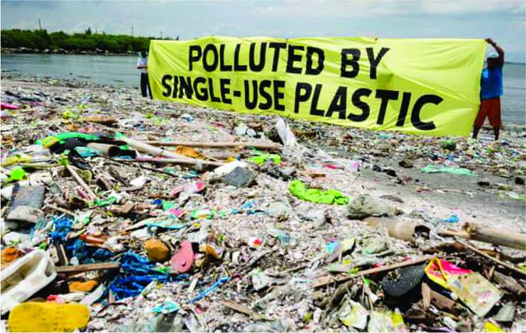 plastic bag pollution essay