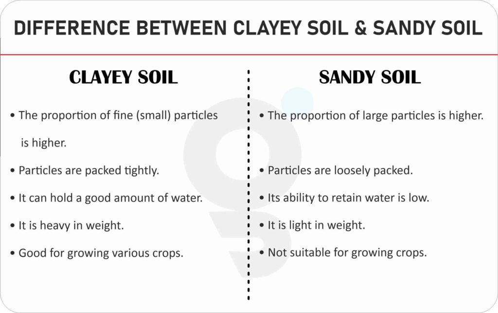 Difference between Clayey Soil and Sandy Soil
