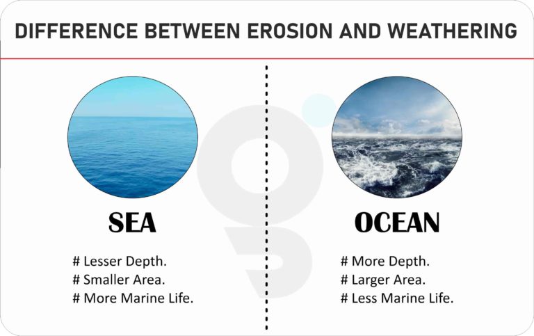 what is difference between sea and ocean