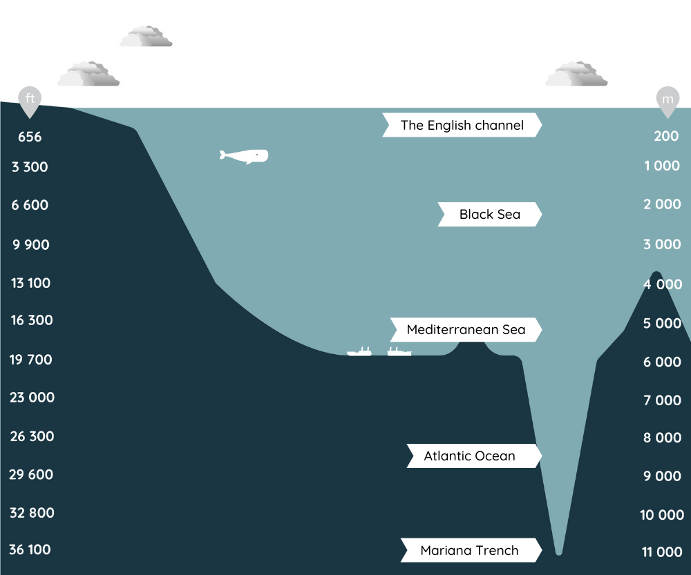 what is difference between sea and ocean