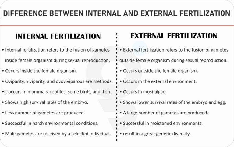 Difference between Internal and External Fertilization