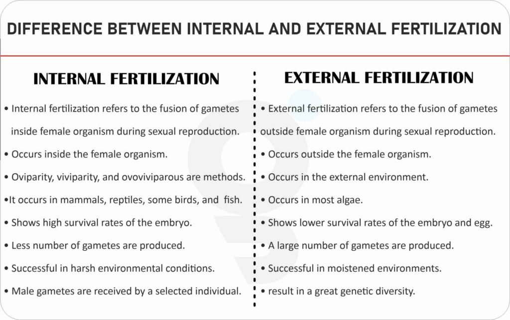 Difference between Internal and External Fertilization