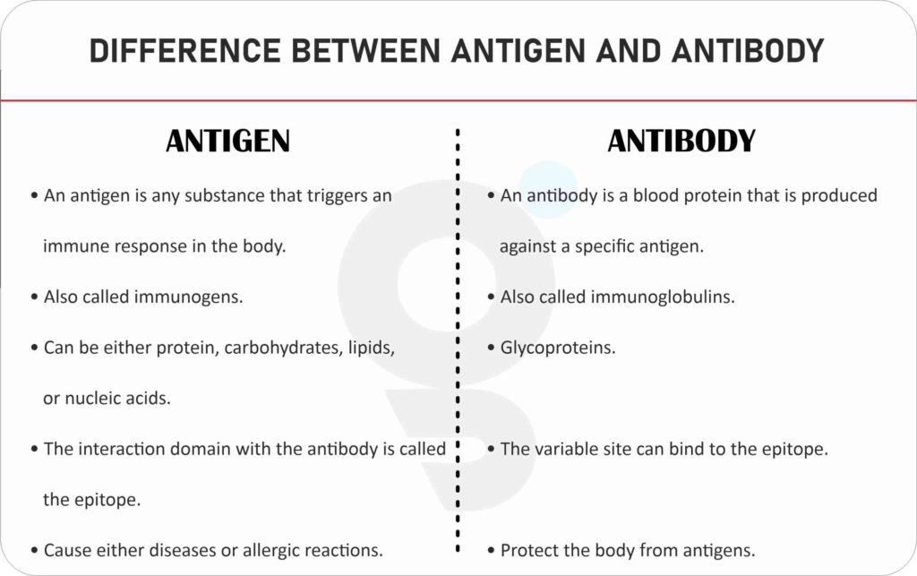 Difference between Antigen and Antibody