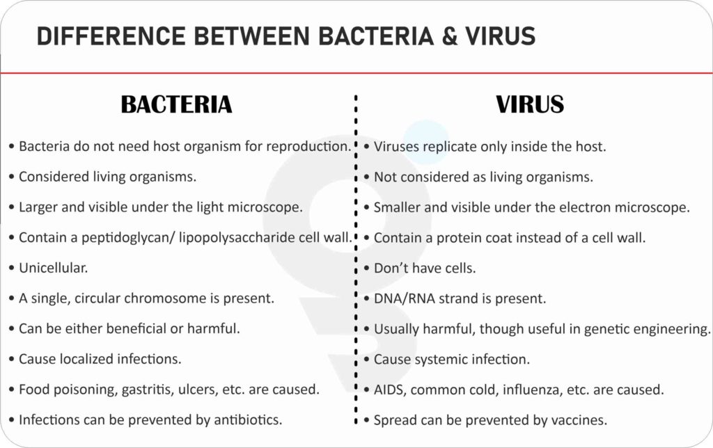Difference between Bacteria and Virus
