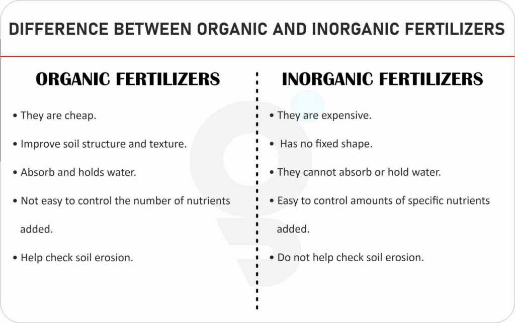 Difference between Chemical Fertilizers and Organic Fertilizers