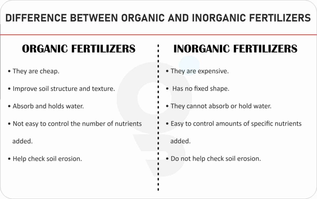 What Is The Difference Between Organic Fertilizer And Chemical Fertilizer