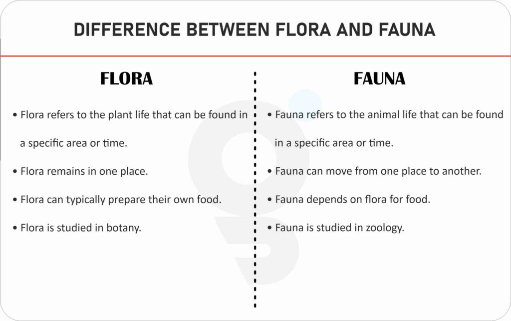Difference between Flora and Fauna