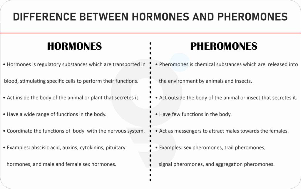 Difference between Hormones and Pheromones