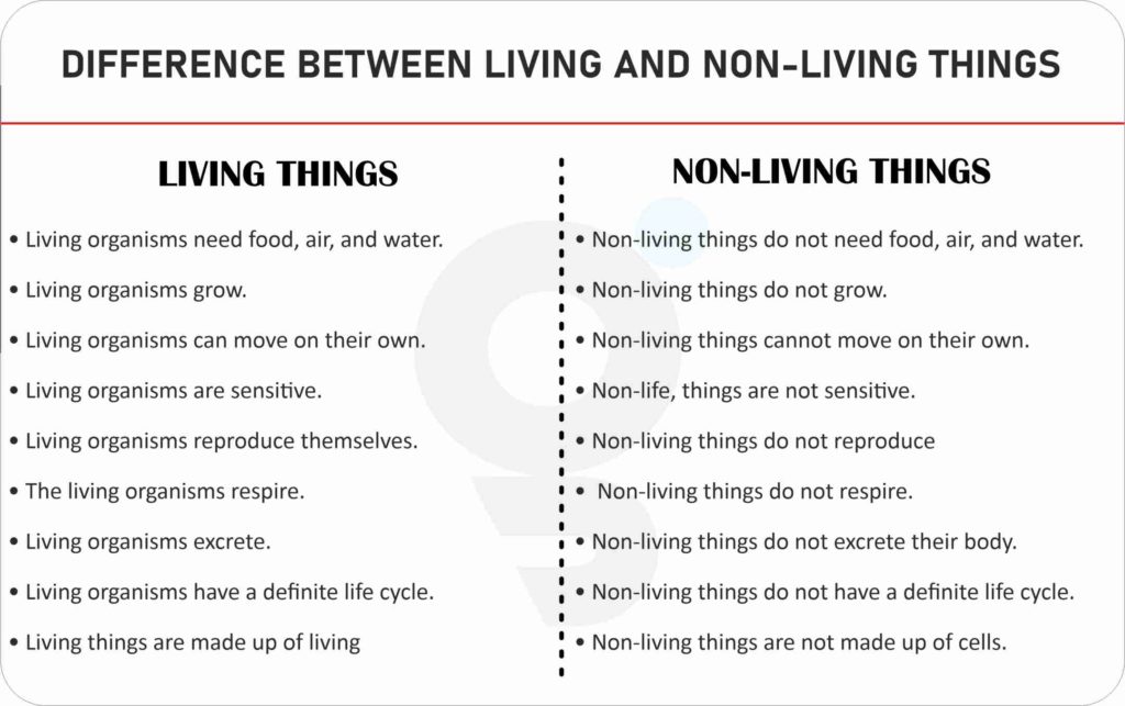Difference Between Living and Non-Living Things