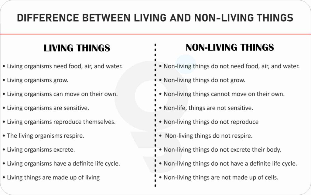 Difference Between Living And Non Living