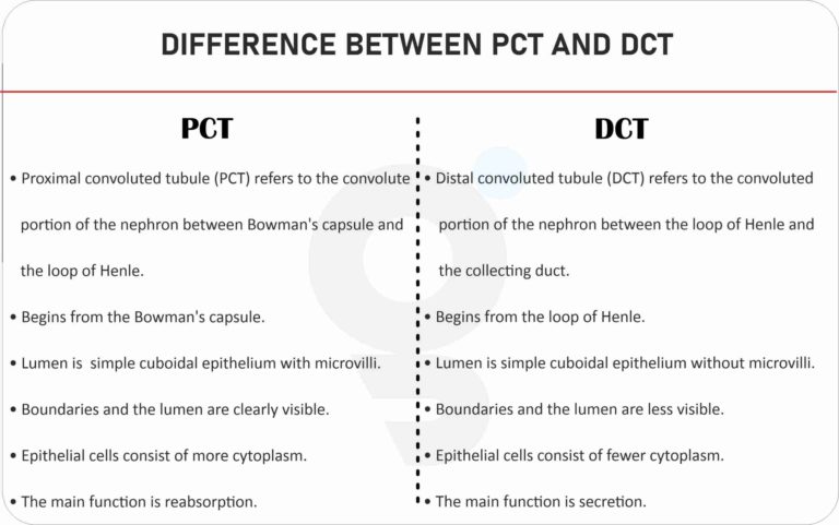 Difference between PCT and DCT